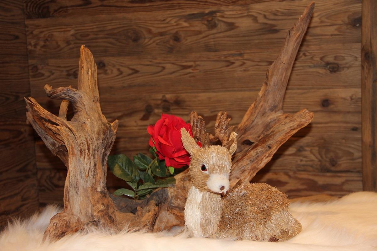Hotel Alpinaros Berchtesgaden Dış mekan fotoğraf